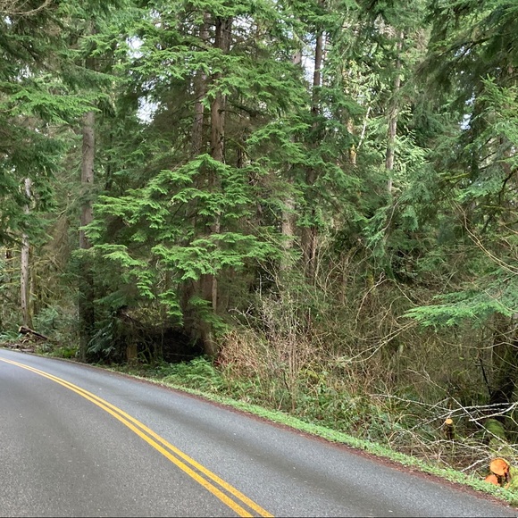 Meet your Posher, Samantha - Picture 1 of 1